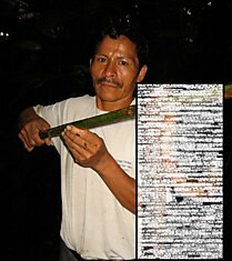 Особенности Эквадорской рыбалки