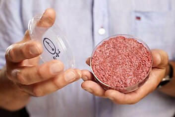 Первый в мире искусственный гамбургер (8 фотографий)