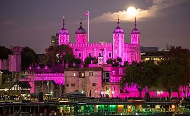 Лондон в розовом цвете (16 фото)