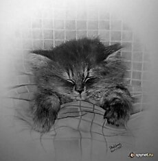 Нарисованные котятки (19 фото)