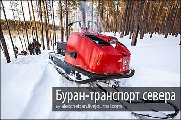 Буран - трудяга русского севера (37 фото)