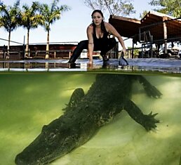 Как спасти крокодила