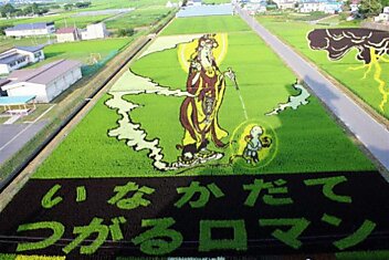 Осень: лучшее время, чтобы увидеть гигантские рисунки на рисовых полях в Японии