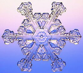 Снежинки под микроскопом (50 фото)