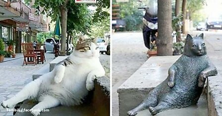 В Стамбуле установили скульптуру в память о самом ленивом в мире коте