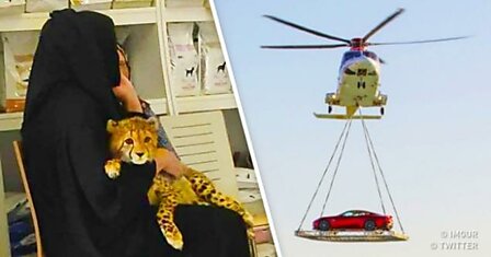 19 невероятных вещей, которые возможны только в Дубае