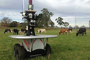 В  Австралии сельскохозяйственные роботы заменяют на фермах работников-людей