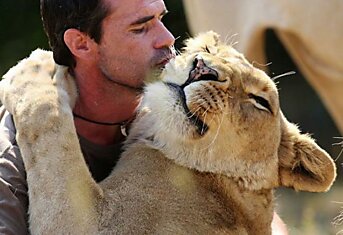 Уникальная дружба человека и льва
