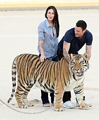 Меган Фокс (Megan Fox) встретилась лицом к лицу с тиграми