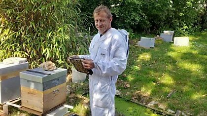 Неправильный мёд: французский пчеловод научился делать мёд из конопли