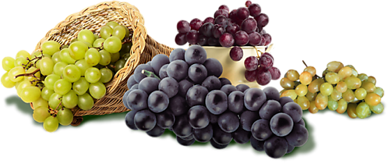 Антиоксидант в винограде эффективен для лечения акне
