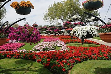 Самый крупный в мире парк цветов