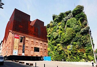 Экологическое граффити в центре в Мадриде: вертикальный сад Патрика Блана