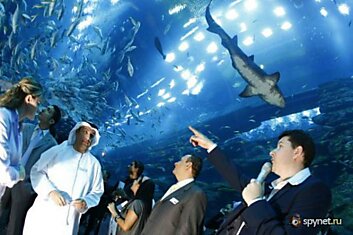 Потек удивительный аквариум в Дубаях (14 фото + видео)