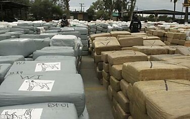 В Мексике изъята партия марихуаны весом в 105 тонн