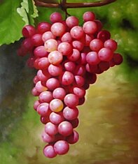 Всего горсть винограда понадобится для того, чтобы освежить и разгладить кожу лица.