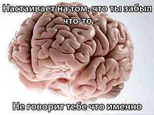Мозговые мемы