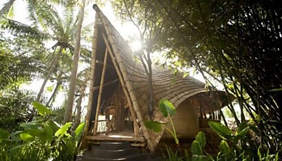 Дом из бамбука на Бали (14 фото)