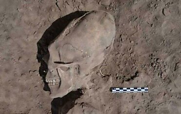 В Мексике был обнаружен череп «инопланетянина», возраст которого насчитывает 1 000 лет