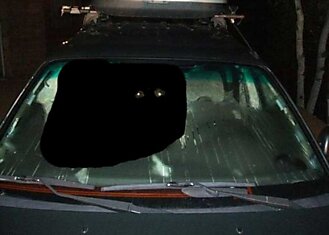 Незваный гость в автомобиле (3 фото)