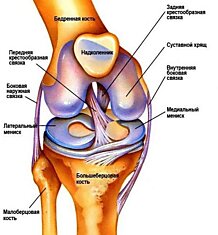 ПОЛЕЗНАЯ информация: травмы коленного сустава— народные методы лечения