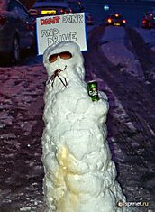 Пьяные снеговики(30 фото)