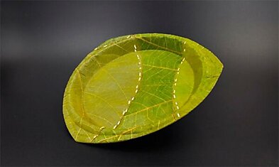 Экологичная биоразлагаемая посуда из пальмовых листьев