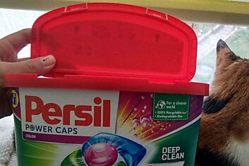 Из пластикового контейнера для стирального порошка: лучшие идеи, что помогут в хозяйстве