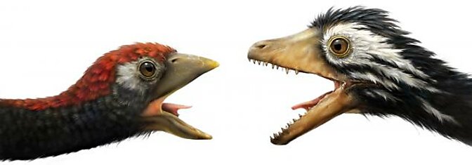 Сравнительная физиология динозавров и птиц. Популярно о малоизвестном. Часть 1 «Кости титанов»