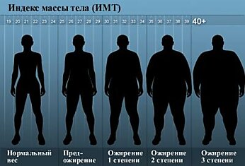 Ожирение: болезнь нашего времени