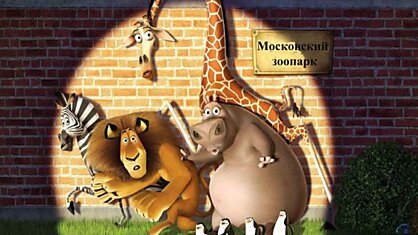 Хроника побегов животных из Московского зоопарка