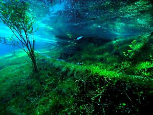Подводный парк «Зеленое озеро» (Gruner See)