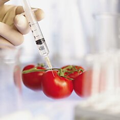 В России разрешили выращивать ГМО