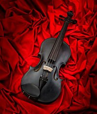 «Дрозд» — каменная скрипка, на которой можно играть