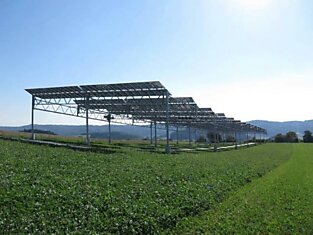 Симбиоз сельского хозяйства и солнечной энергетики или агрофотоэлектрика по-немецки