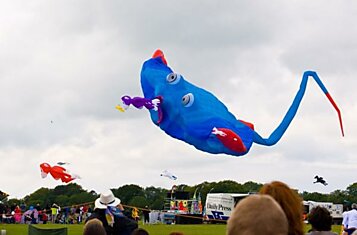 Фестиваль воздушных змеев в Бристоле (Bristol International Kite Festival)