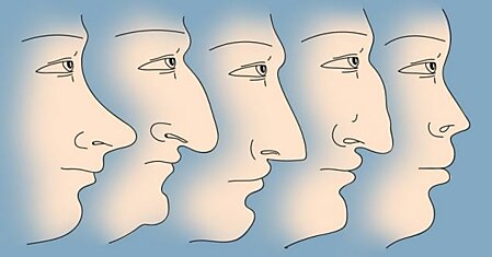 Вот что форма носа может поведать о твоем характере!