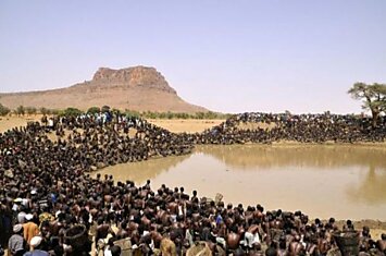 Аборигены Мали опустошают озеро  (4 фото + видео)