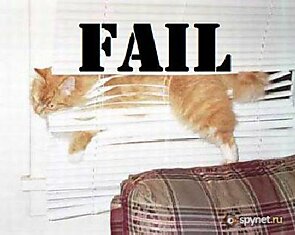 Кошачья подборка в стиле Fail (24 фото)