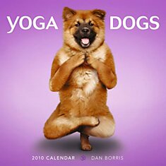 Йога-псы в календаре Yoga Dogs 2010