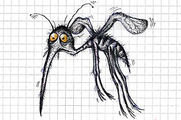 Запахи, которые заставят комаров отказаться от тебя и облететь стороной, проверенные методы