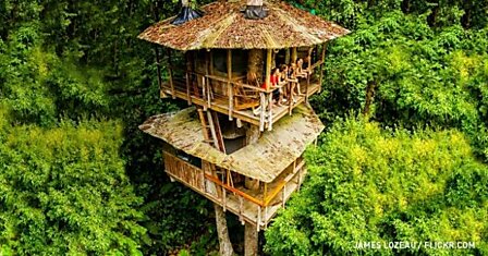 Отель на Коста-Рике, который стоит хотя бы увидеть