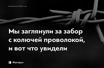 15 шокирующих фактов о тюрьмах и заключённых