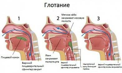 Прием, который может спасти чью-то жизнь! Вот что нужно делать, если в горле что-то застряло.