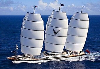 Maltese Falcon