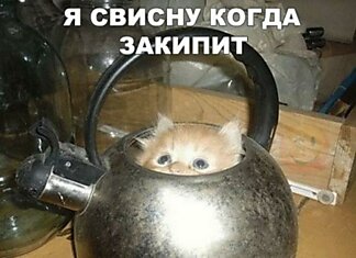 30 Фото, Которые Рассмешат Вас До Слез!