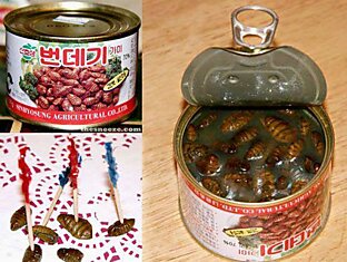 Корейские консервы
