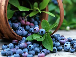 Как сохранить витамины в ягодах и фруктах