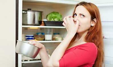 Для чего класть губки для мытья посуды в холодильник