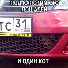 Под капотом сто лошадей и один кот.